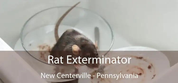 Rat Exterminator New Centerville - Pennsylvania