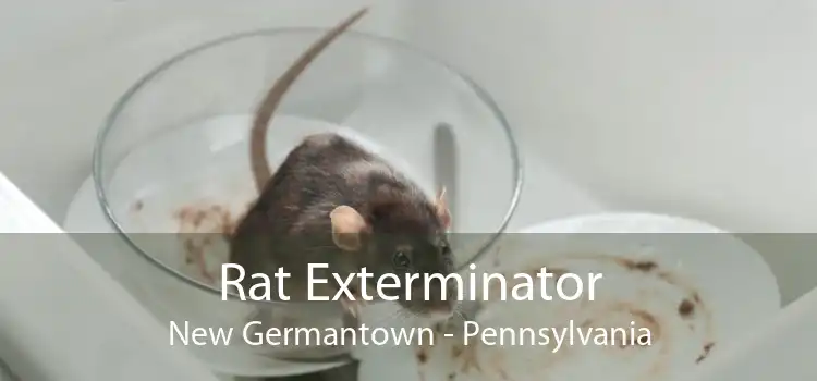 Rat Exterminator New Germantown - Pennsylvania