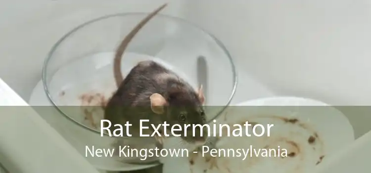 Rat Exterminator New Kingstown - Pennsylvania