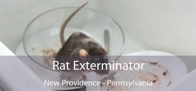 Rat Exterminator New Providence - Pennsylvania