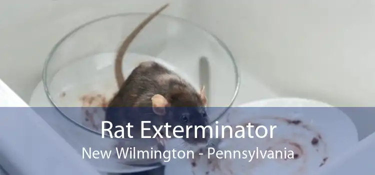 Rat Exterminator New Wilmington - Pennsylvania