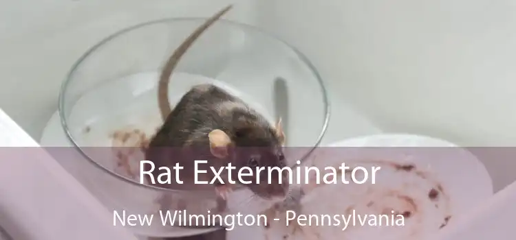 Rat Exterminator New Wilmington - Pennsylvania