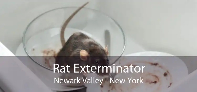 Rat Exterminator Newark Valley - New York