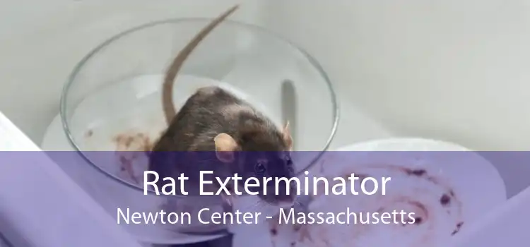 Rat Exterminator Newton Center - Massachusetts