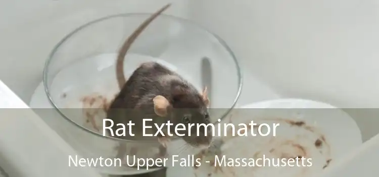 Rat Exterminator Newton Upper Falls - Massachusetts