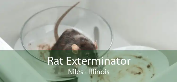 Rat Exterminator Niles - Illinois