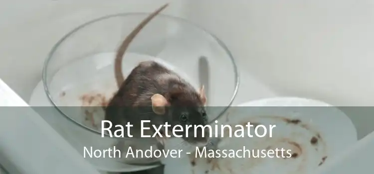 Rat Exterminator North Andover - Massachusetts