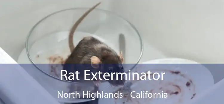 Rat Exterminator North Highlands - California