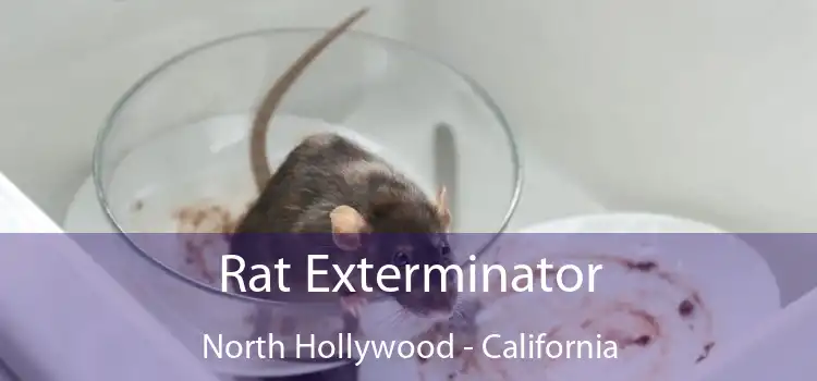 Rat Exterminator North Hollywood - California