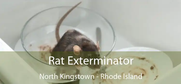 Rat Exterminator North Kingstown - Rhode Island