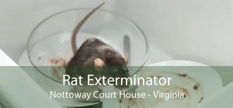 Rat Exterminator Nottoway Court House - Virginia
