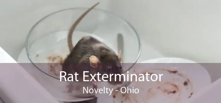 Rat Exterminator Novelty - Ohio