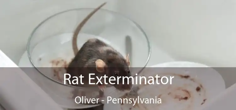 Rat Exterminator Oliver - Pennsylvania