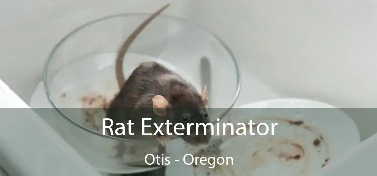 Rat Exterminator Otis - Oregon