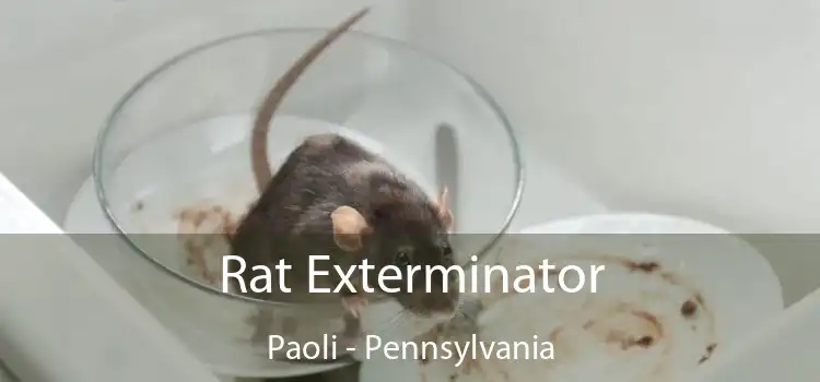 Rat Exterminator Paoli - Pennsylvania