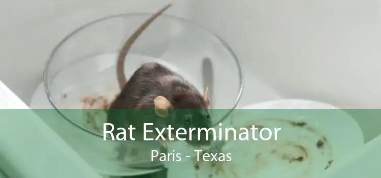 Rat Exterminator Paris - Texas