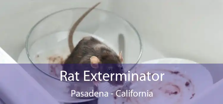 Rat Exterminator Pasadena - California