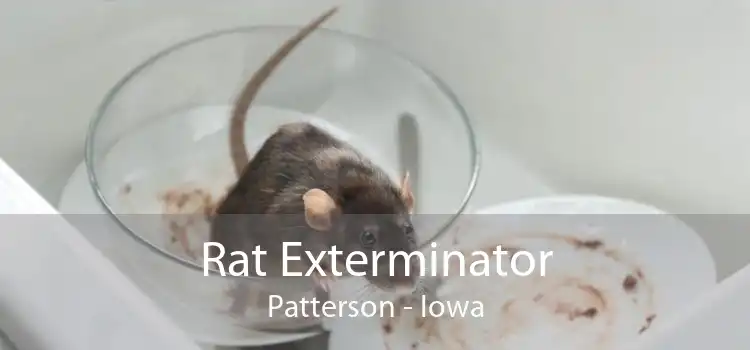 Rat Exterminator Patterson - Iowa