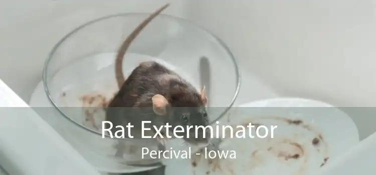 Rat Exterminator Percival - Iowa