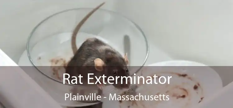 Rat Exterminator Plainville - Massachusetts