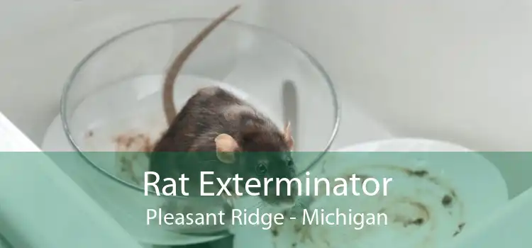 Rat Exterminator Pleasant Ridge - Michigan