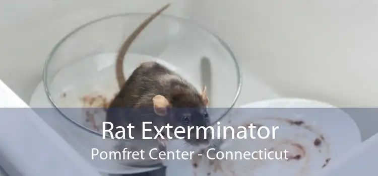 Rat Exterminator Pomfret Center - Connecticut