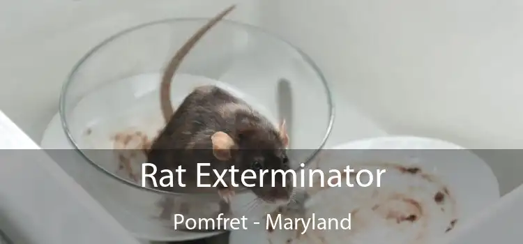 Rat Exterminator Pomfret - Maryland