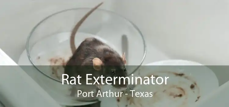 Rat Exterminator Port Arthur - Texas