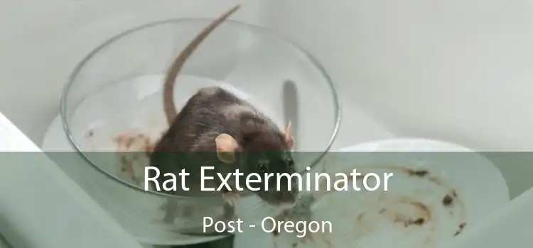 Rat Exterminator Post - Oregon