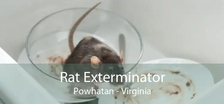 Rat Exterminator Powhatan - Virginia