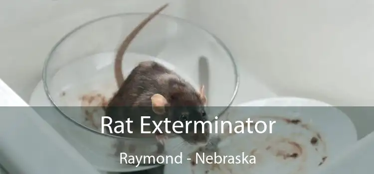 Rat Exterminator Raymond - Nebraska