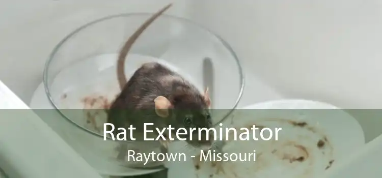 Rat Exterminator Raytown - Missouri