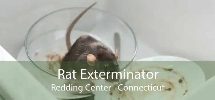 Rat Exterminator Redding Center - Connecticut