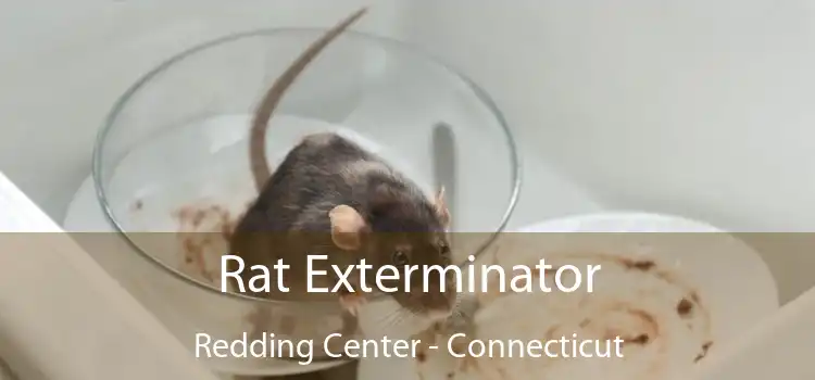 Rat Exterminator Redding Center - Connecticut