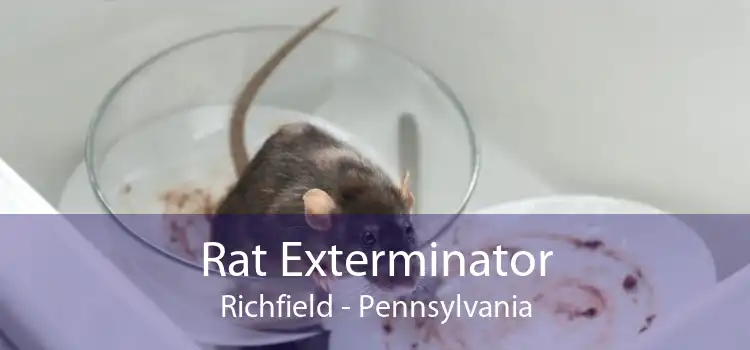 Rat Exterminator Richfield - Pennsylvania