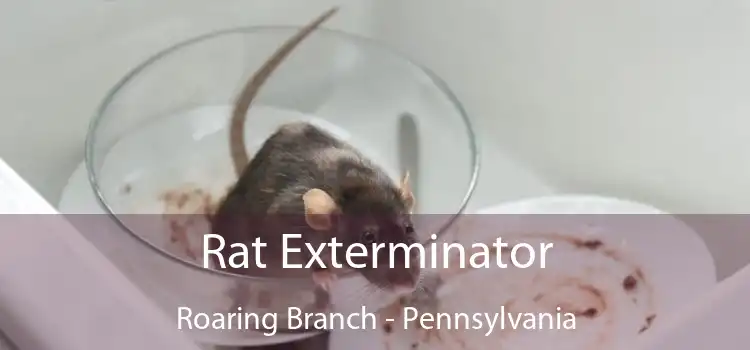 Rat Exterminator Roaring Branch - Pennsylvania