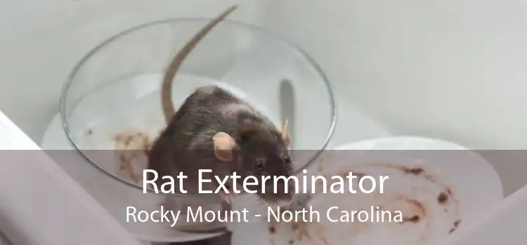 Rat Exterminator Rocky Mount - North Carolina