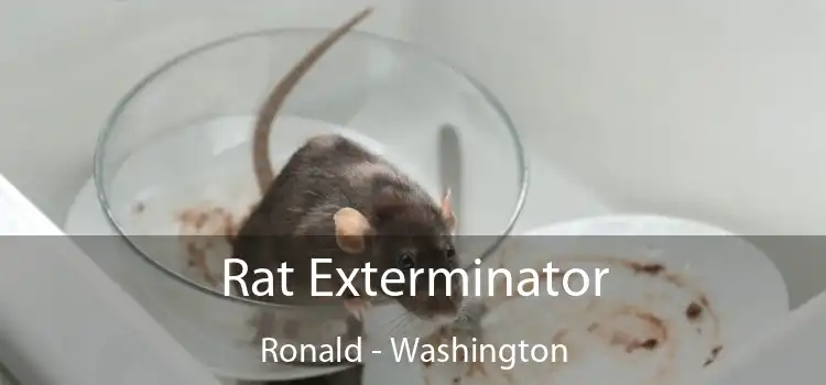 Rat Exterminator Ronald - Washington