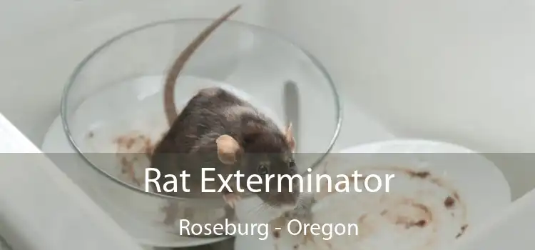 Rat Exterminator Roseburg - Oregon