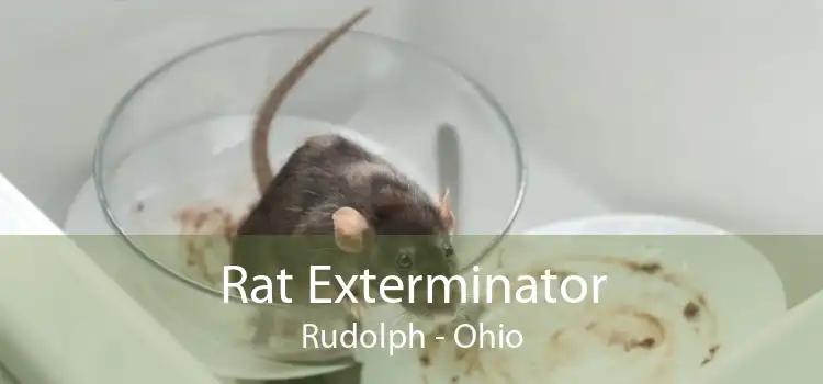 Rat Exterminator Rudolph - Ohio