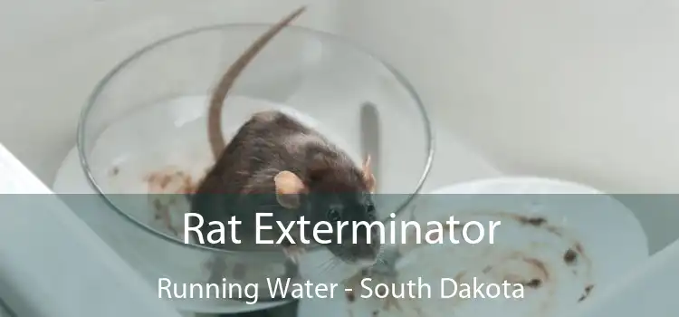 Rat Exterminator Running Water - South Dakota