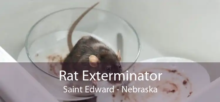 Rat Exterminator Saint Edward - Nebraska