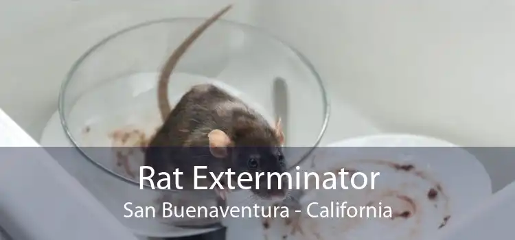 Rat Exterminator San Buenaventura - California