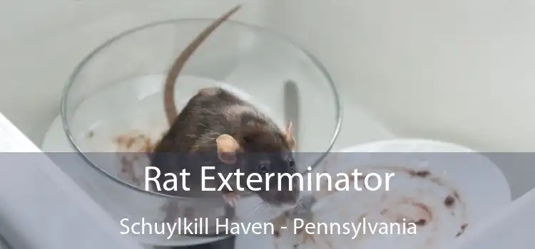 Rat Exterminator Schuylkill Haven - Pennsylvania