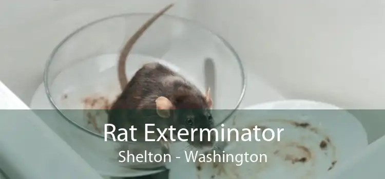 Rat Exterminator Shelton - Washington