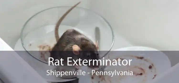 Rat Exterminator Shippenville - Pennsylvania