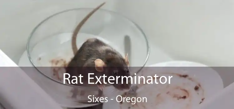 Rat Exterminator Sixes - Oregon