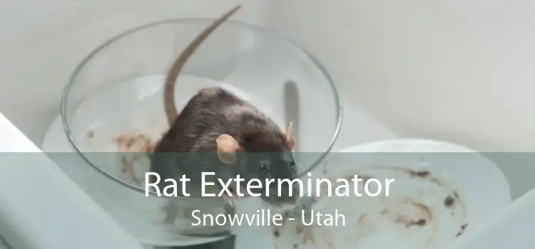 Rat Exterminator Snowville - Utah