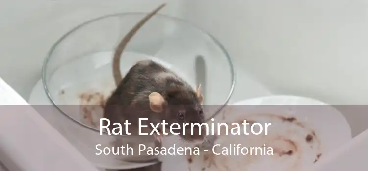 Rat Exterminator South Pasadena - California