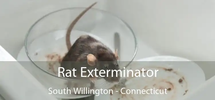 Rat Exterminator South Willington - Connecticut